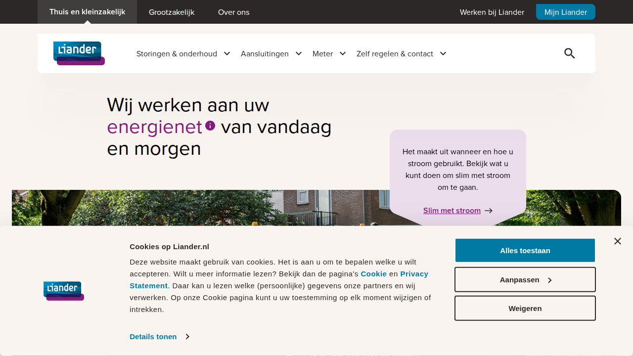 Screenshot https://liander.nl/