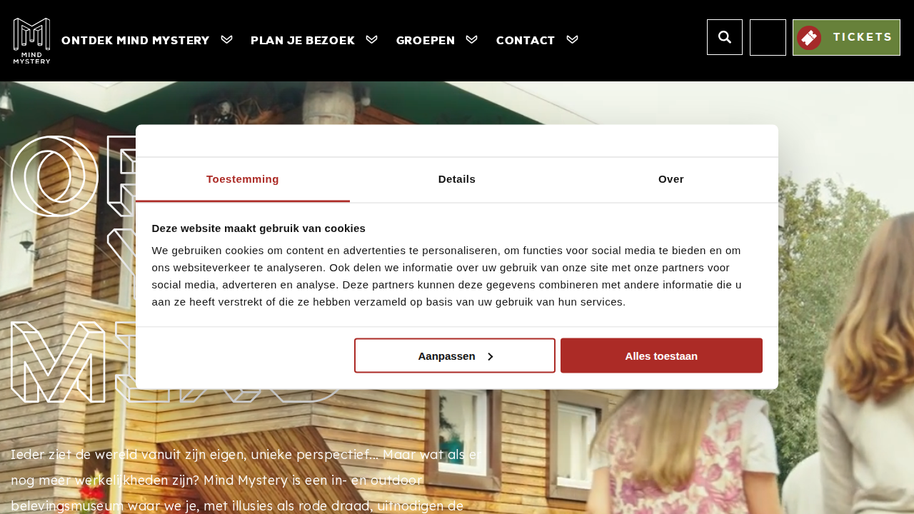 Screenshot https://mindmystery.nl/