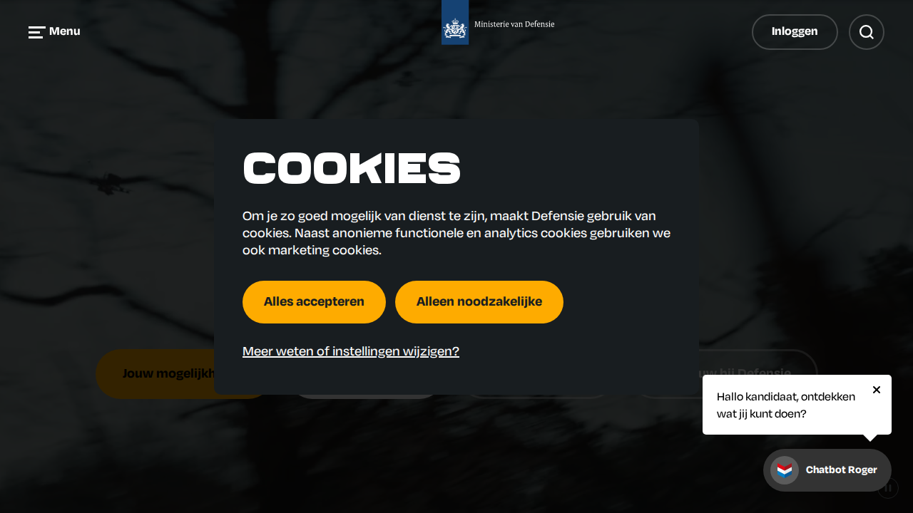 Screenshot https://werkenbijdefensie.nl/